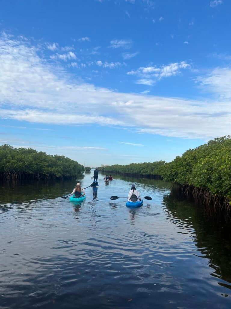 Tour de kayak y paddleboard